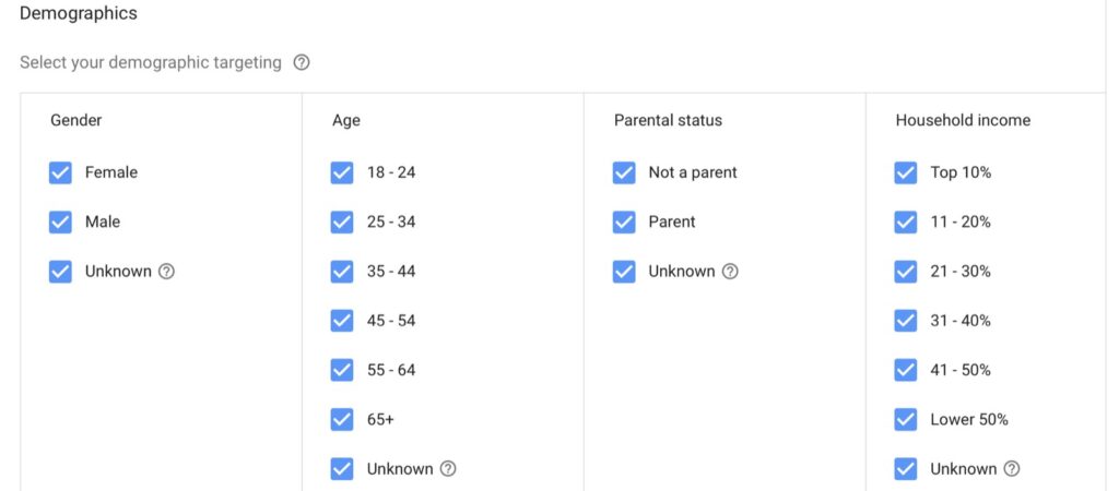 Google Ads Demographic